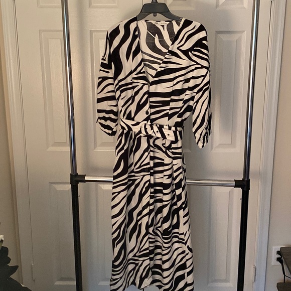 Zara Dresses & Skirts - Perfect dress just in time for Spring!
